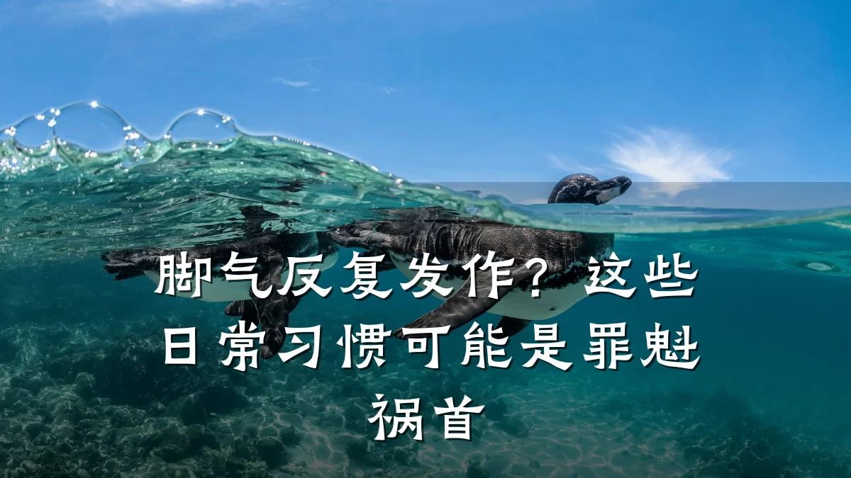 脚气反复发作？这些日常习惯可能是罪魁祸首