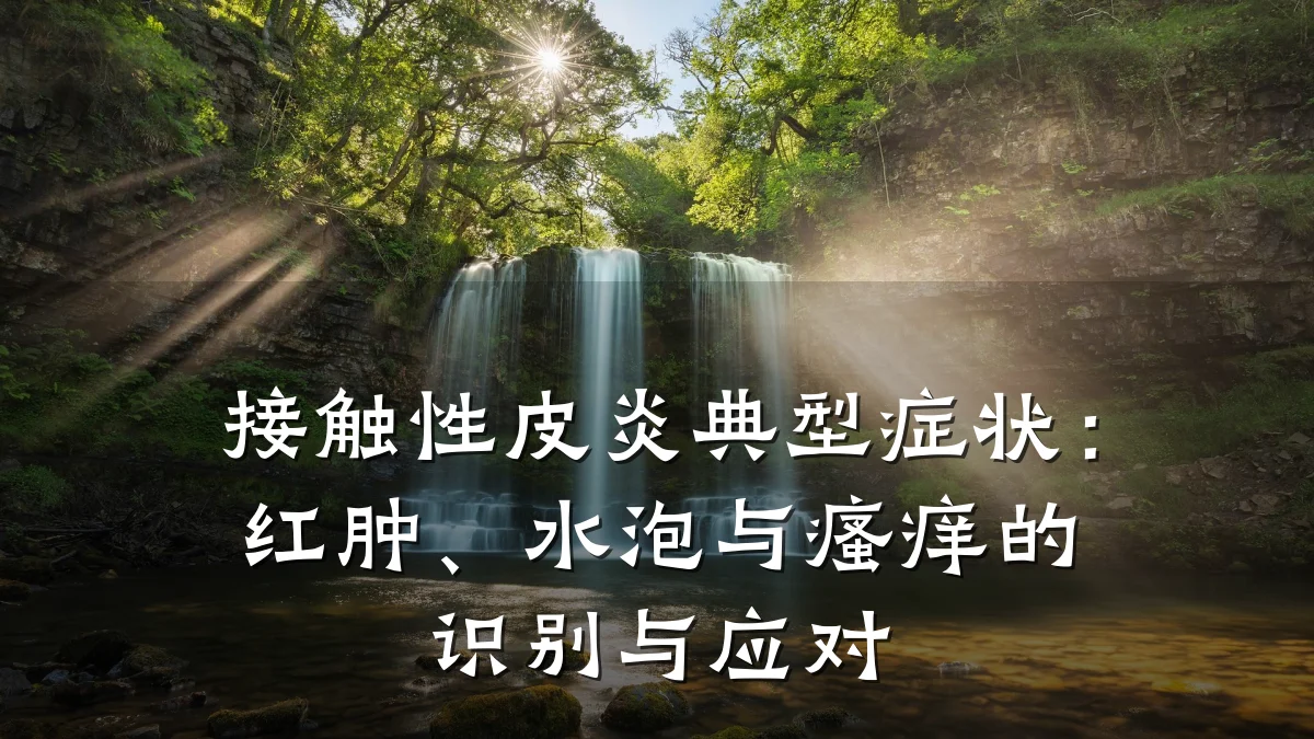 接触性皮炎典型症状:红肿、水泡与瘙痒的识别与应对