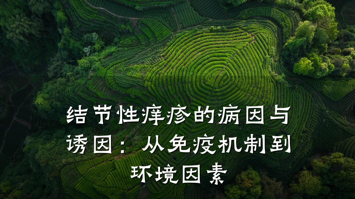 结节性痒疹的病因与诱因：从免疫机制到环境因素