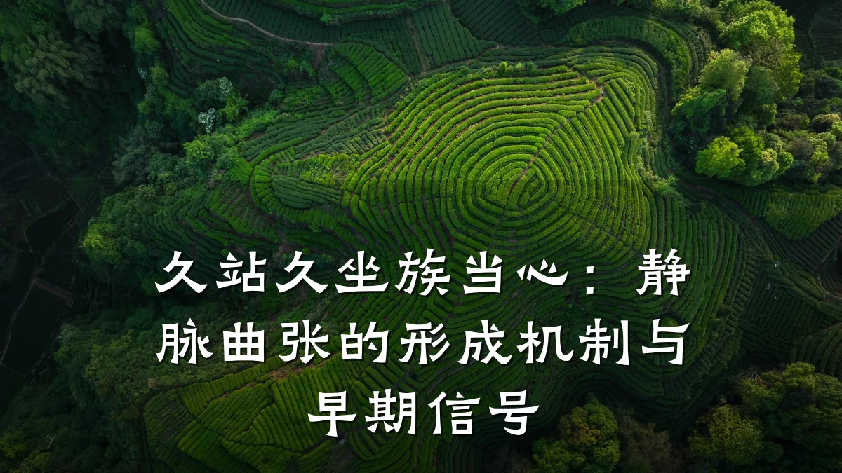 久站久坐族当心：静脉曲张的形成机制与早期信号