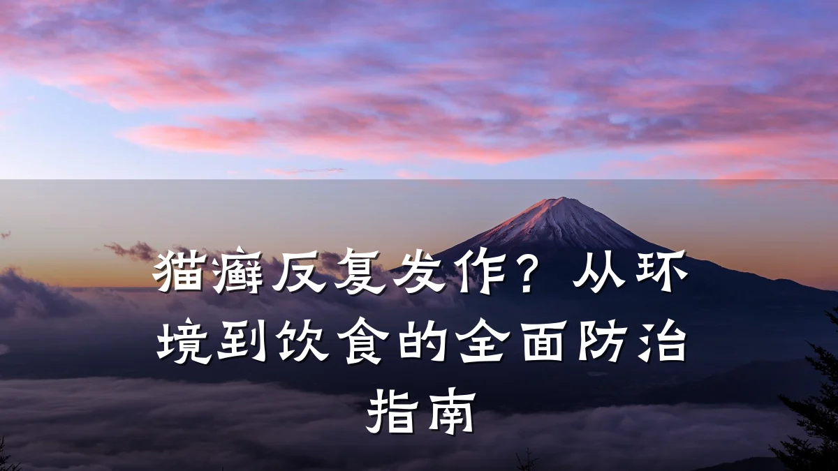 猫癣反复发作?从环境到饮食的全面防治指南