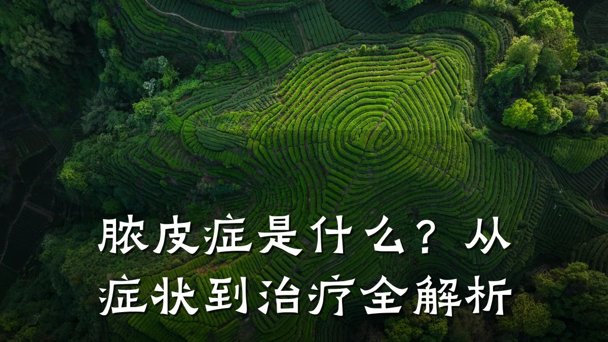 脓皮症是什么?从症状到治疗全解析