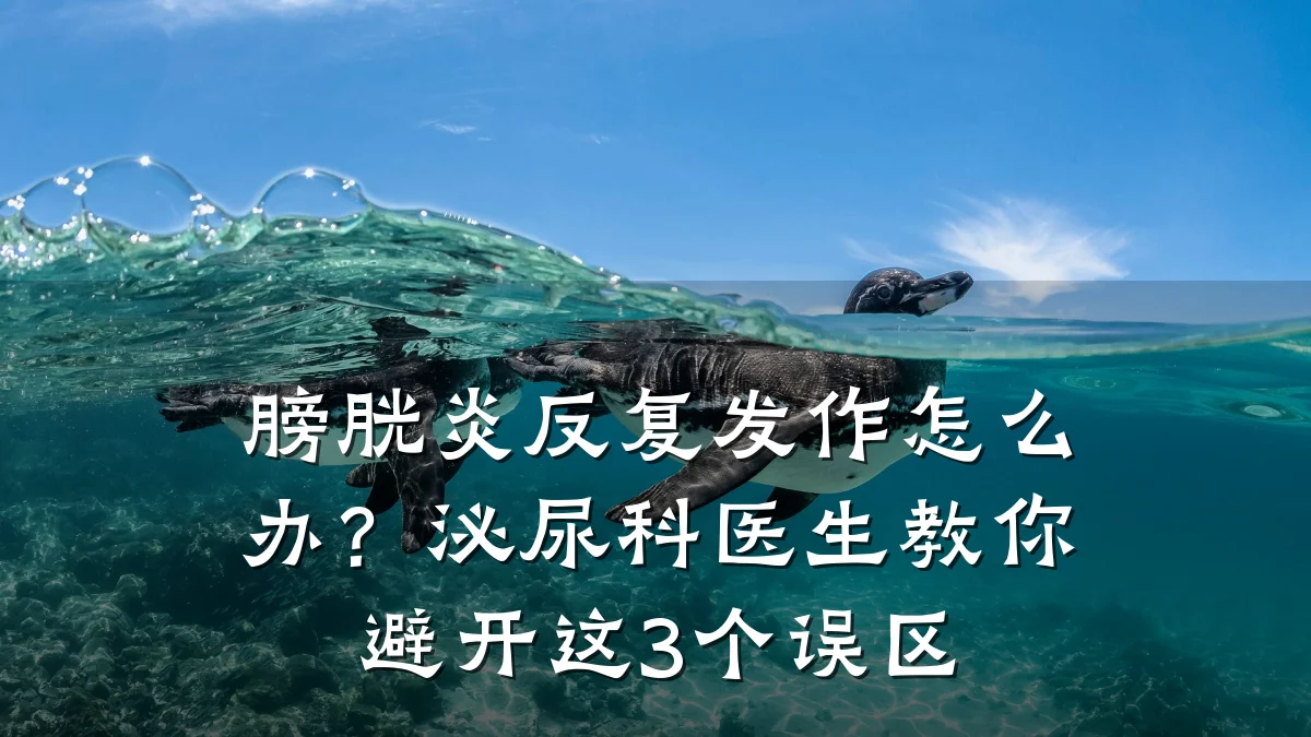 膀胱炎反复发作怎么办?泌尿科医生教你避开这3个误区