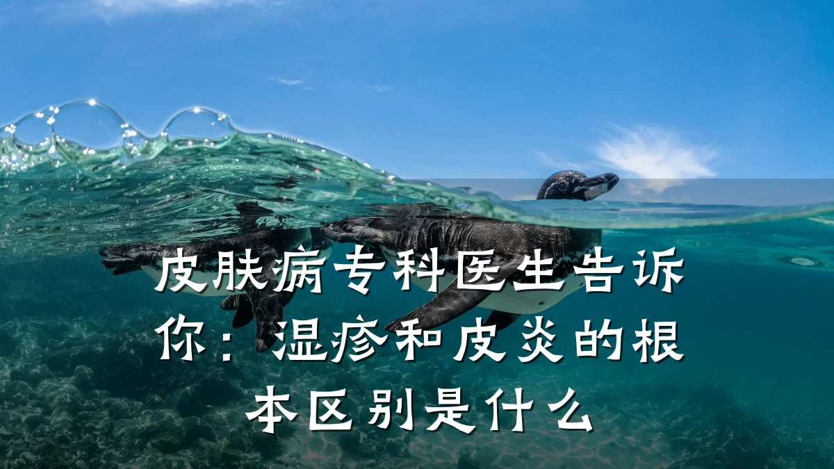皮肤病专科医生告诉你:湿疹和皮炎的根本区别是什么