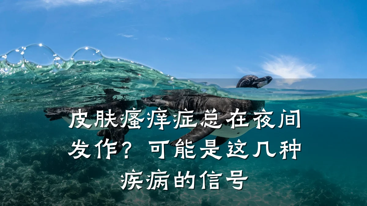 皮肤瘙痒症总在夜间发作?可能是这几种疾病的信号