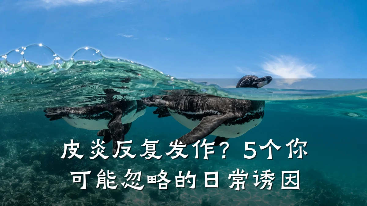 皮炎反复发作？5个你可能忽略的日常诱因
