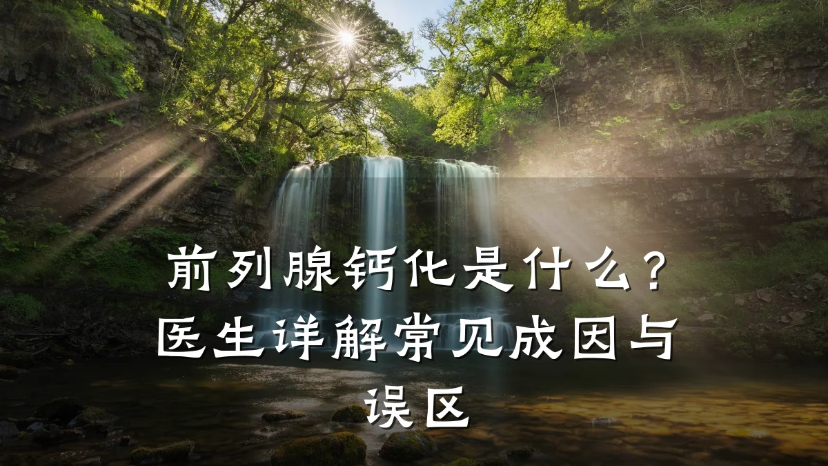 前列腺钙化是什么?医生详解常见成因与误区