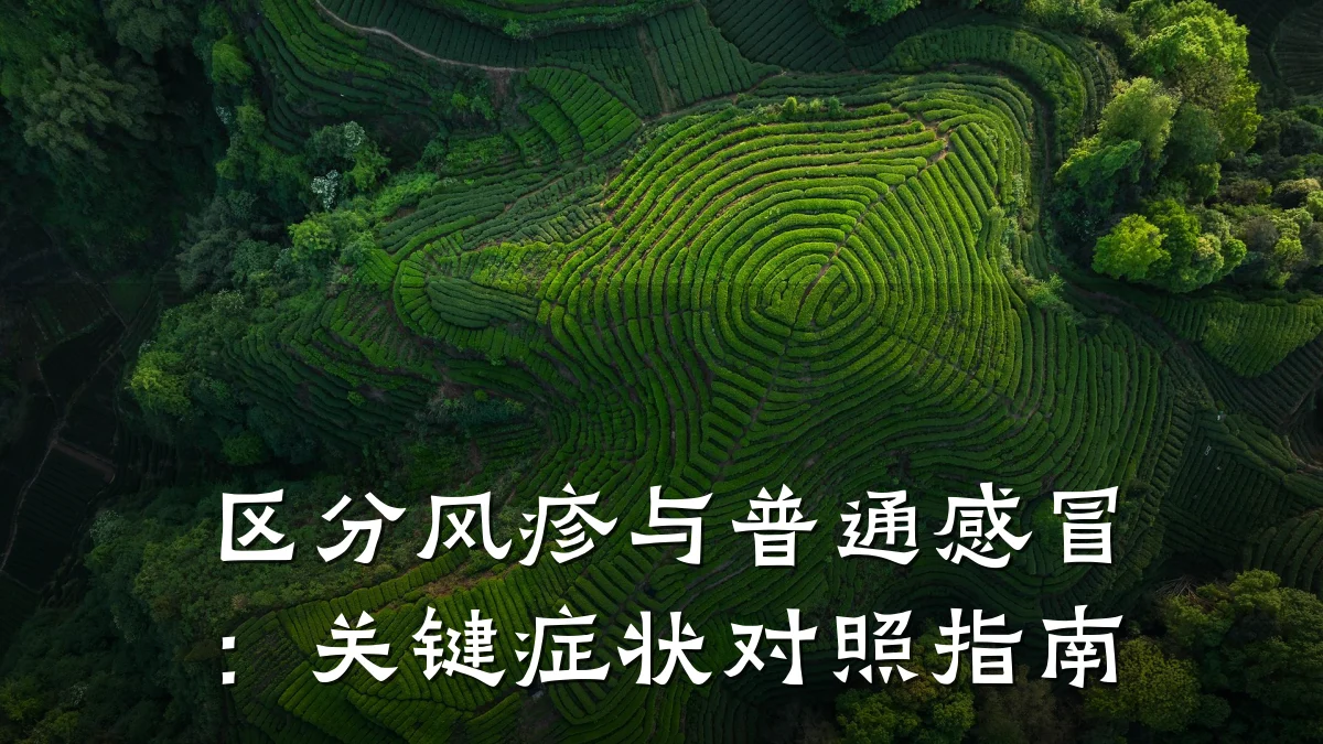 区分风疹与普通感冒:关键症状对照指南