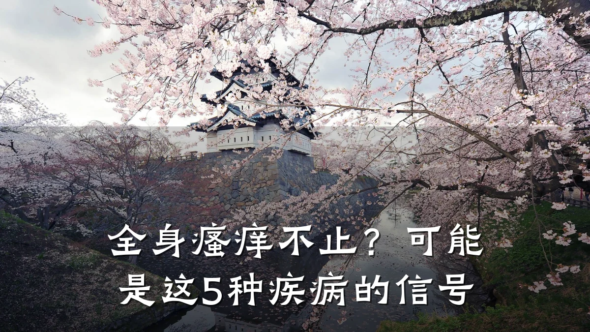 全身瘙痒不止?可能是这5种疾病的信号