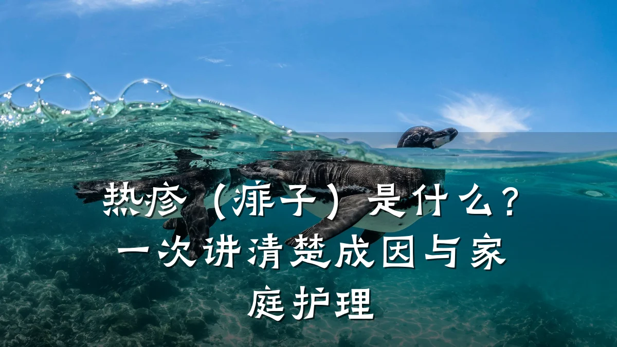 热疹(痱子)是什么?一次讲清楚成因与家庭护理