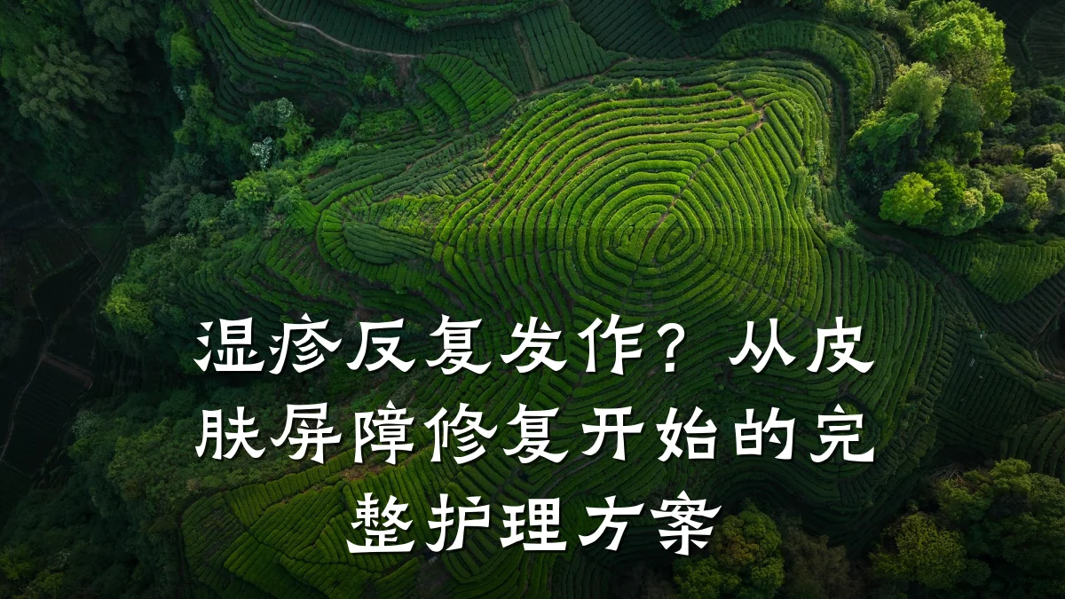湿疹反复发作?从皮肤屏障修复开始的完整护理方案