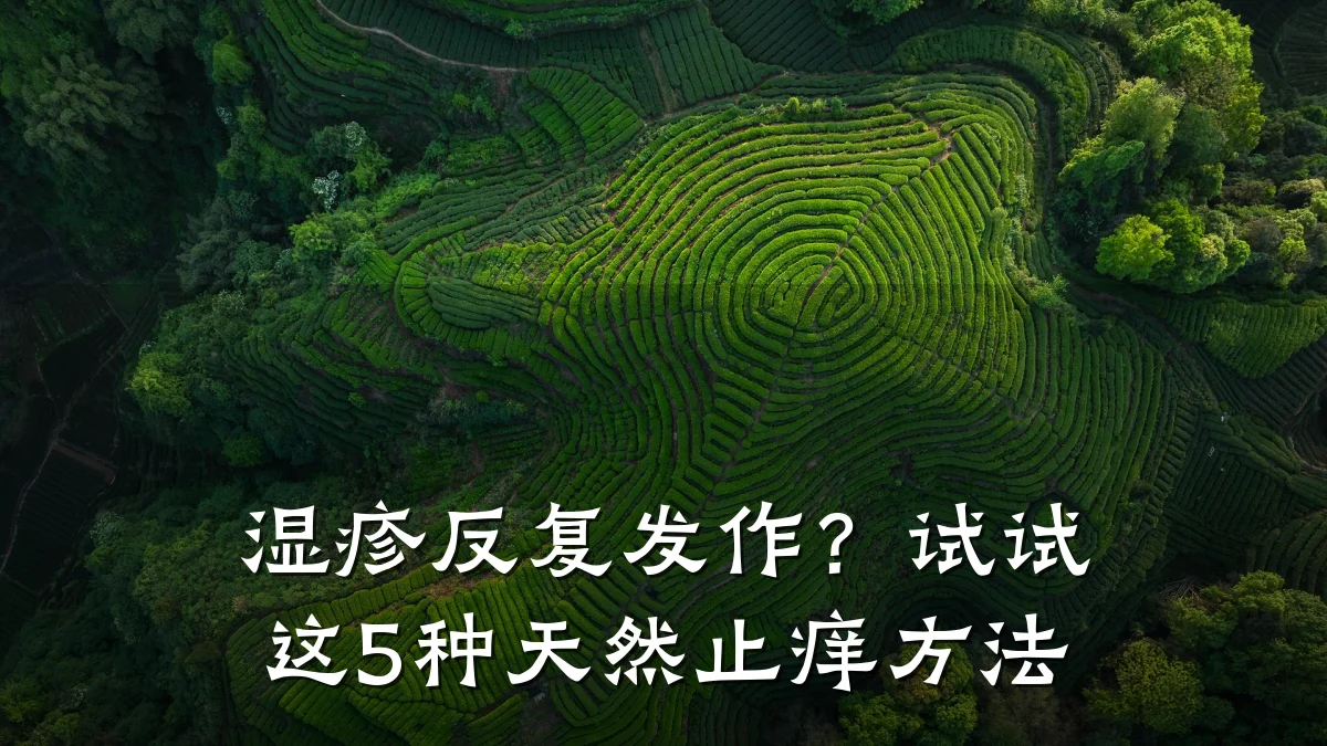 湿疹反复发作?试试这5种天然止痒方法