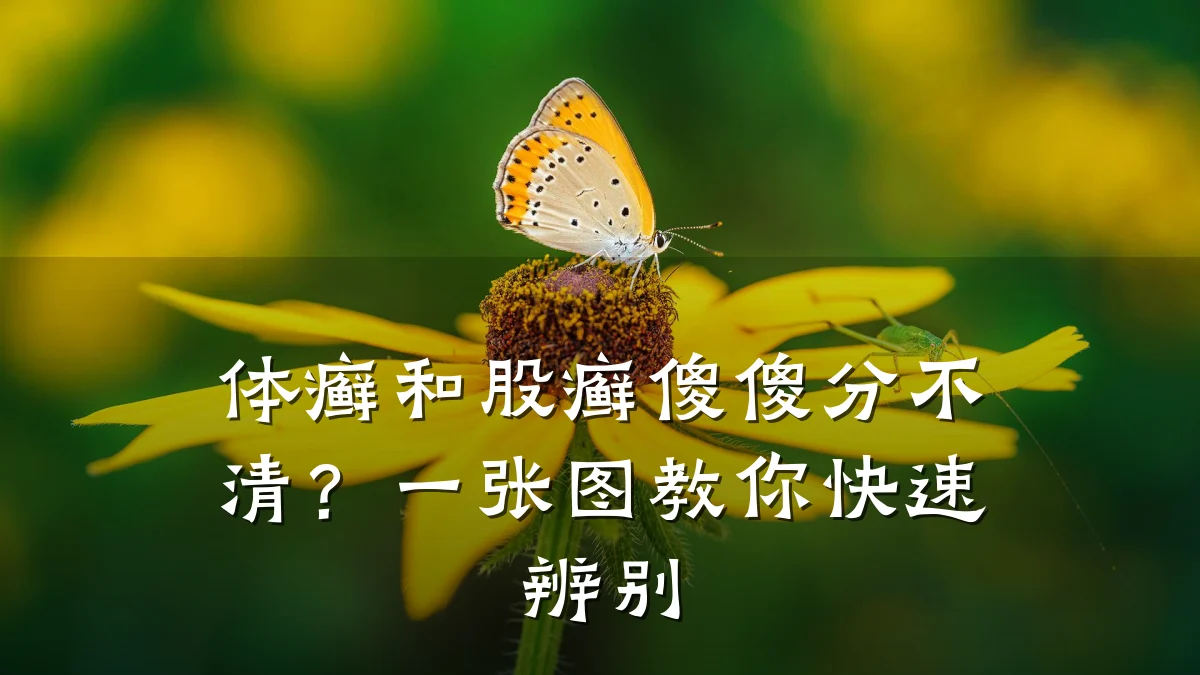 体癣和股癣傻傻分不清？一张图教你快速辨别