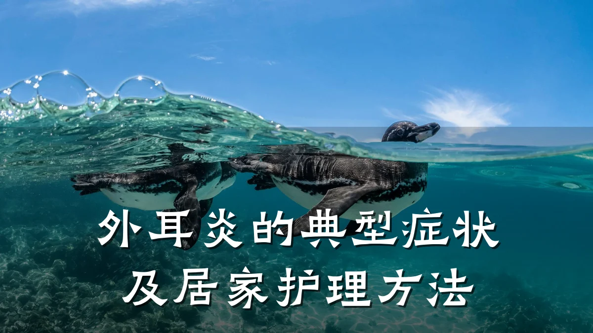 外耳炎的典型症状及居家护理方法