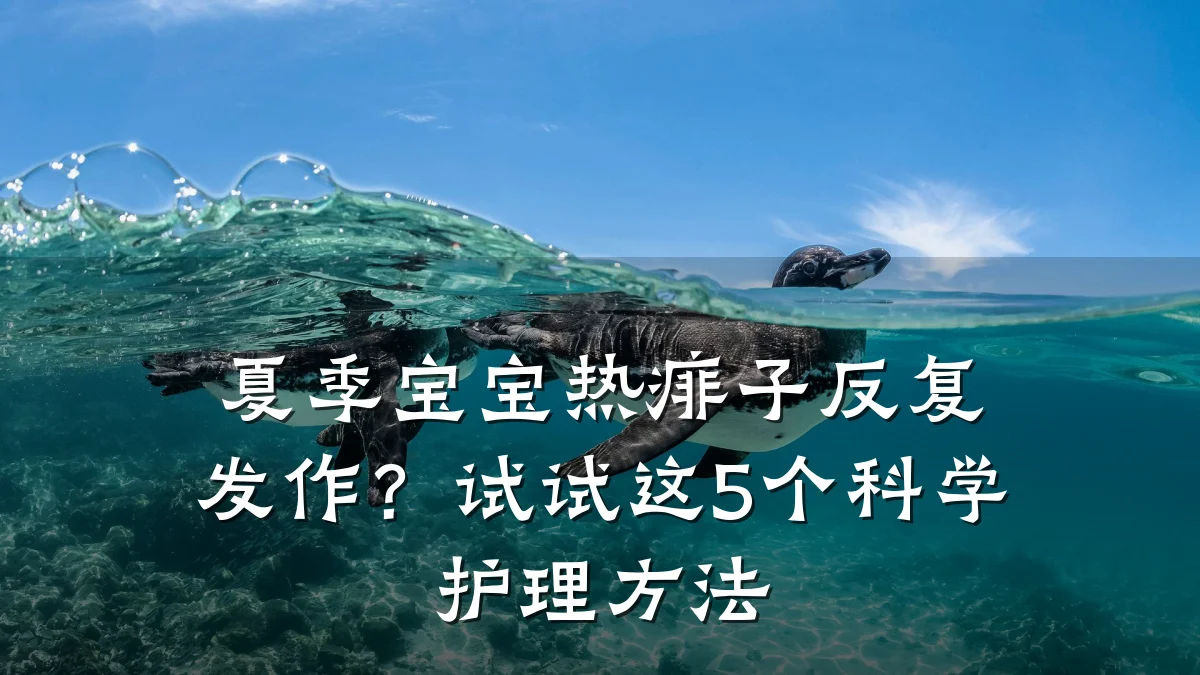夏季宝宝热痱子反复发作?试试这5个科学护理方法