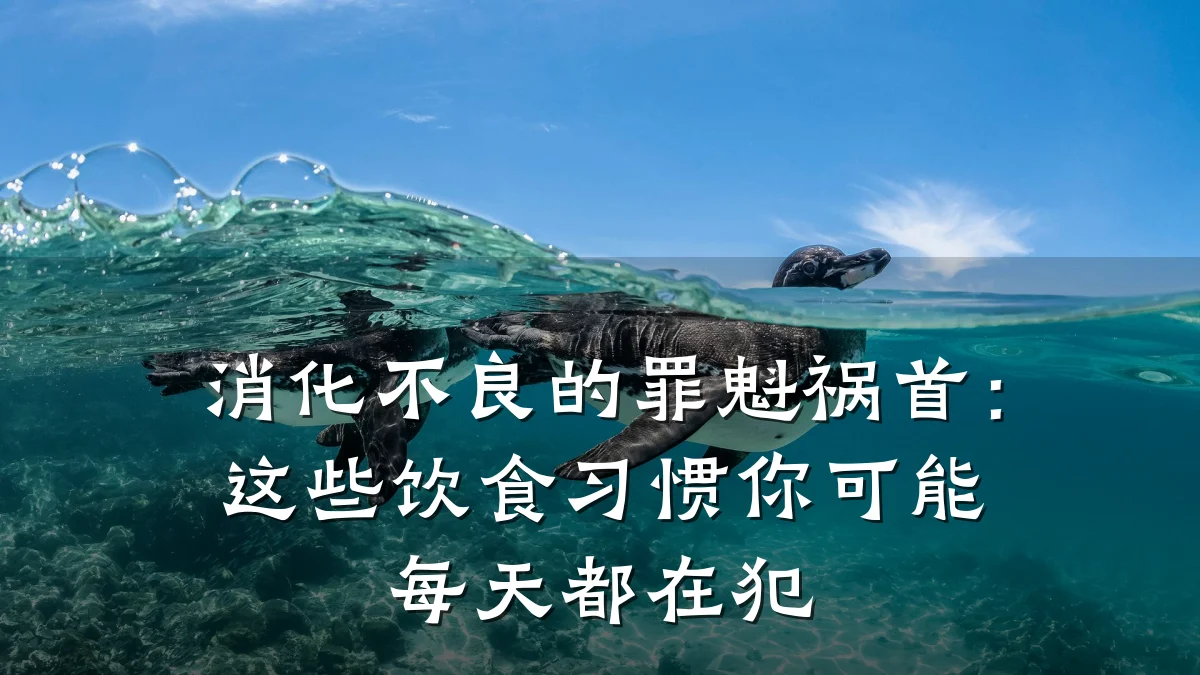 消化不良的罪魁祸首:这些饮食习惯你可能每天都在犯