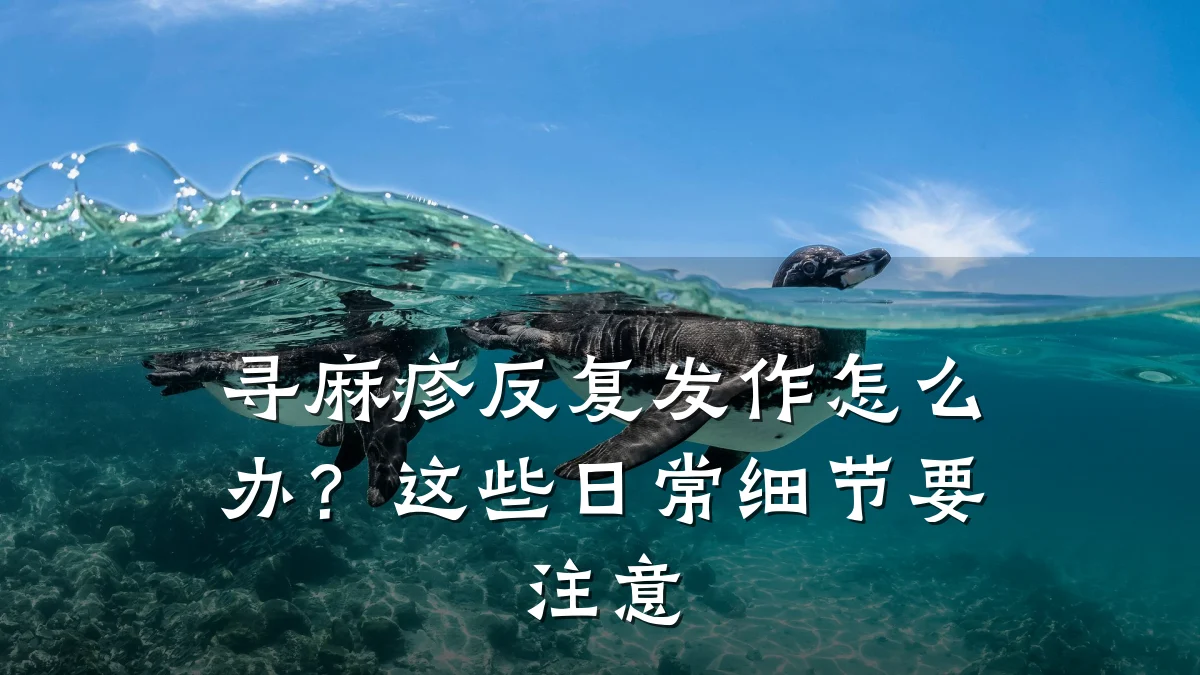 寻麻疹反复发作怎么办?这些日常细节要注意