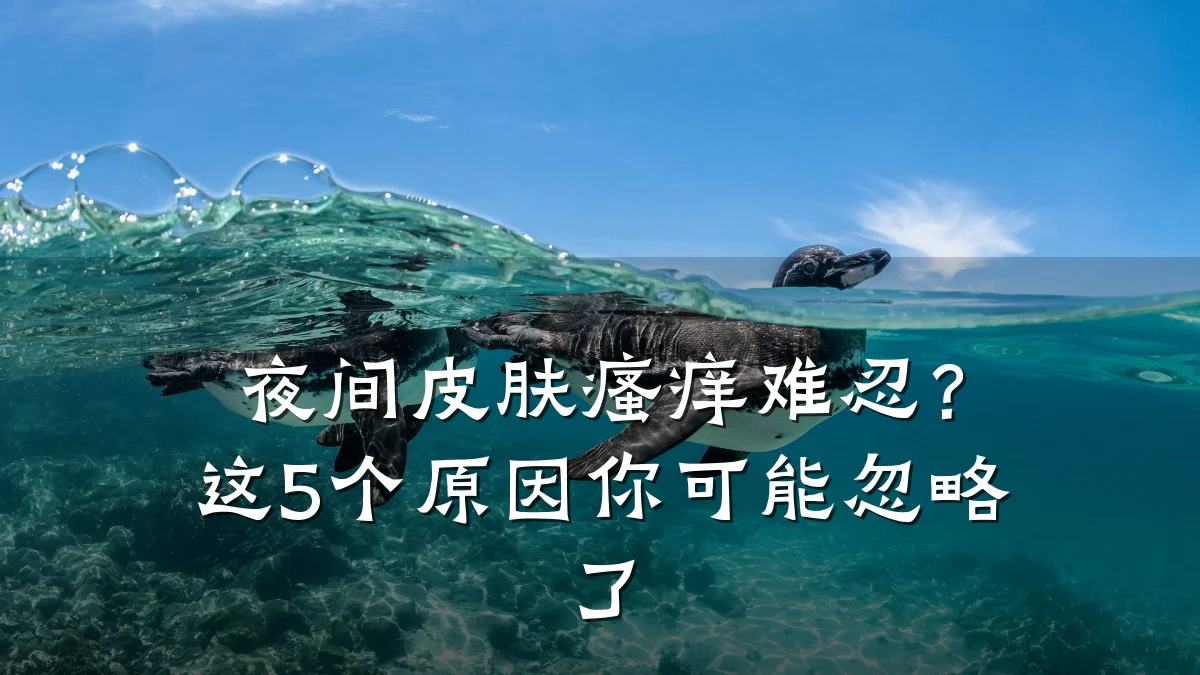 夜间皮肤瘙痒难忍?这5个原因你可能忽略了