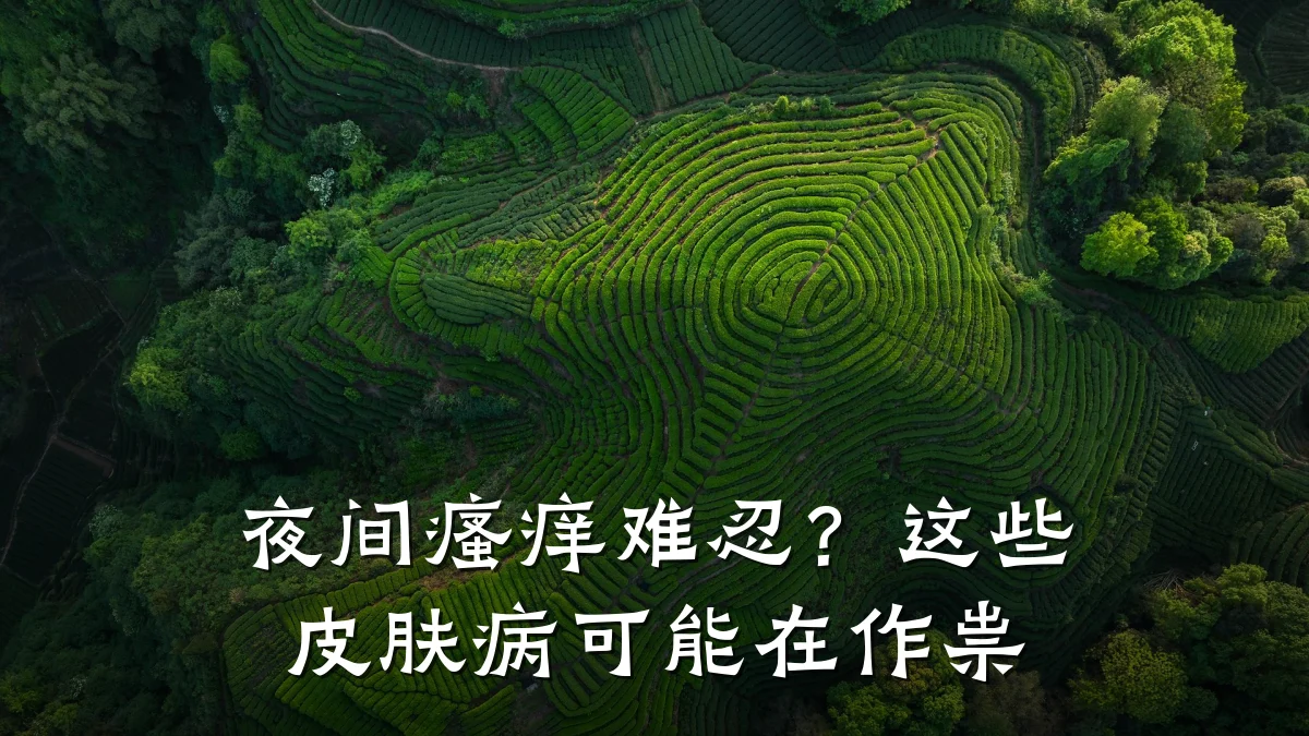 夜间瘙痒难忍?这些皮肤病可能在作祟