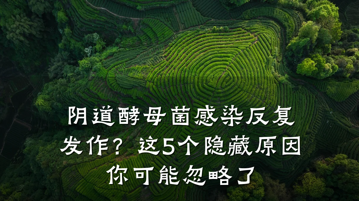 阴道酵母菌感染反复发作?这5个隐藏原因你可能忽略了