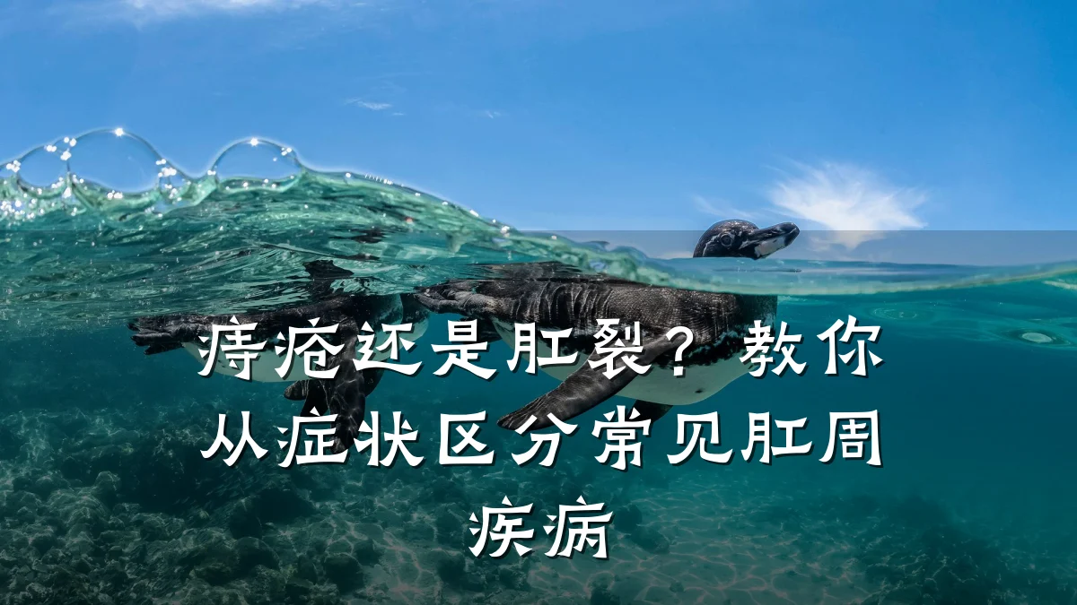 痔疮还是肛裂?教你从症状区分常见肛周疾病