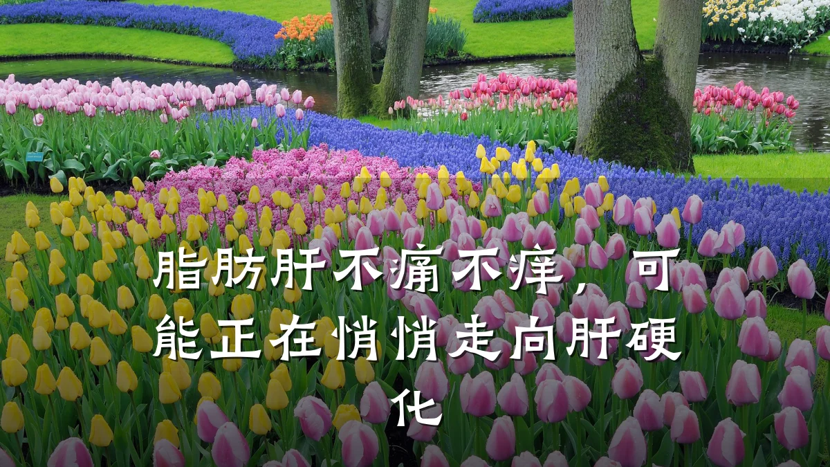 脂肪肝不痛不痒，可能正在悄悄走向肝硬化