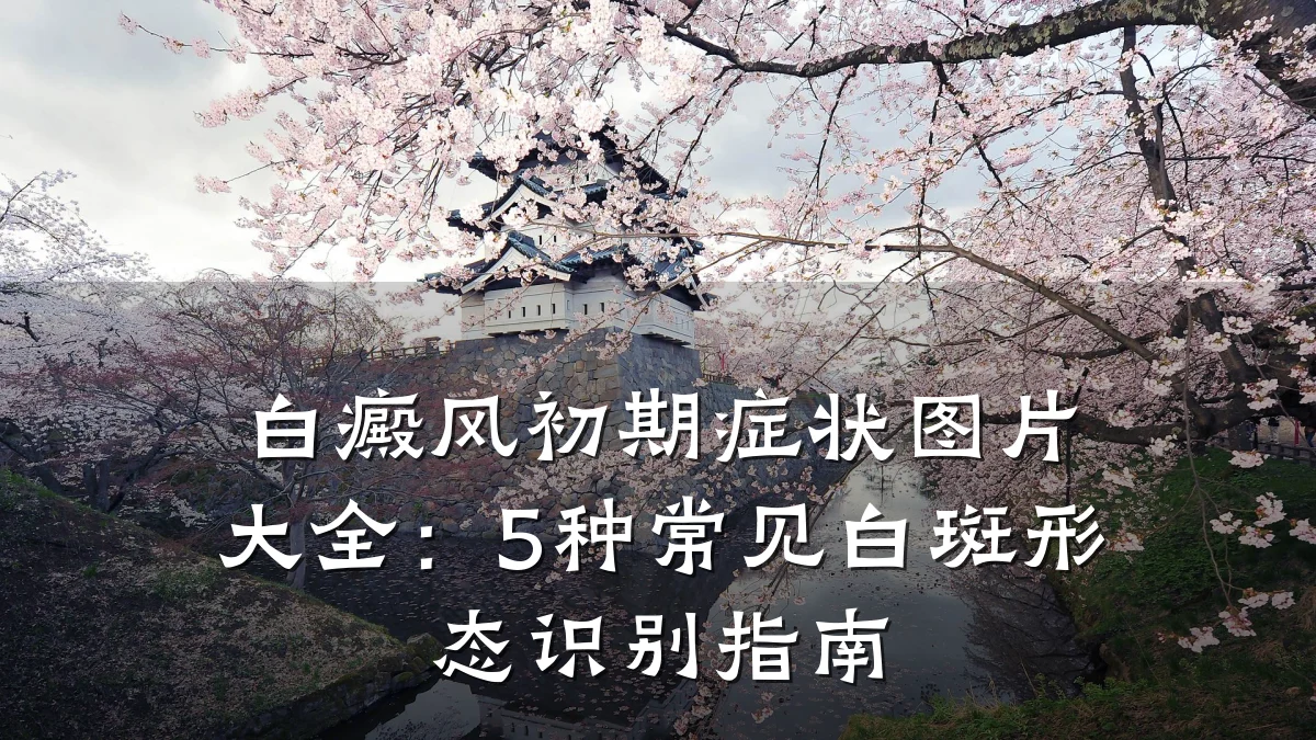 白癜风初期症状图片大全:5种常见白斑形态识别指南