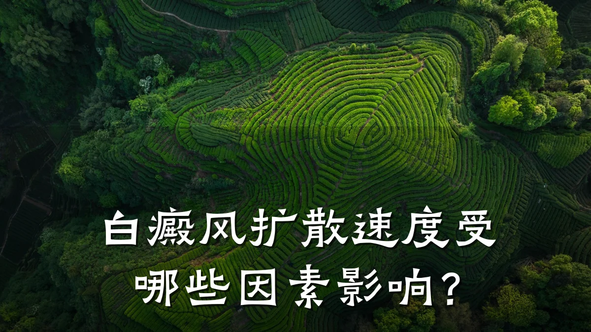白癜风扩散速度受哪些因素影响?