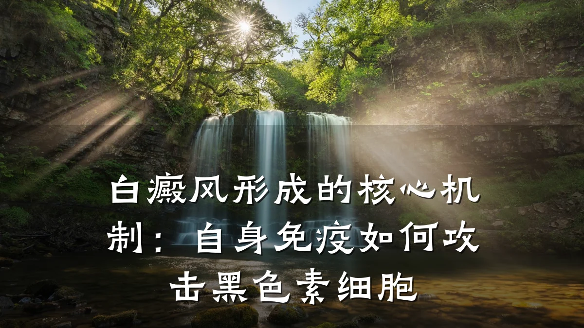 白癜风形成的核心机制:自身免疫如何攻击黑色素细胞