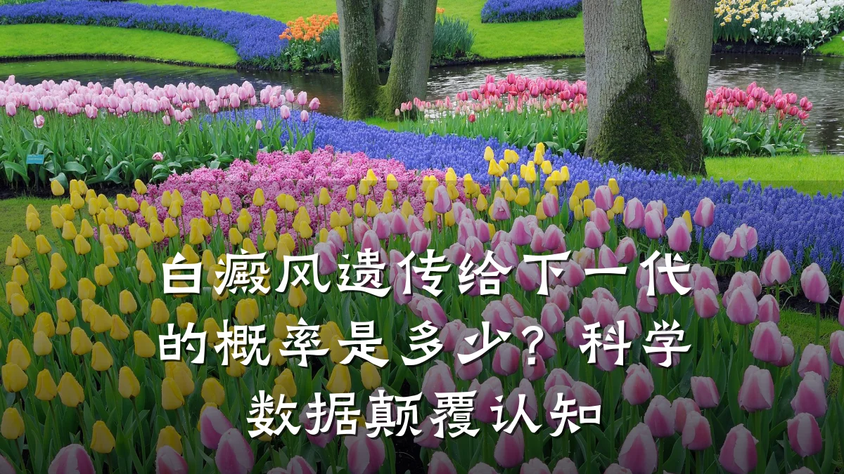 白癜风遗传给下一代的概率是多少?科学数据颠覆认知