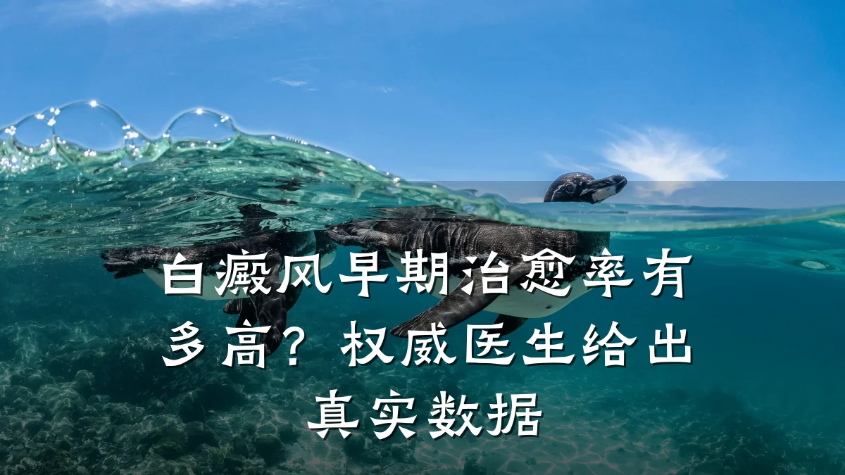白癜风早期治愈率有多高?权威医生给出真实数据