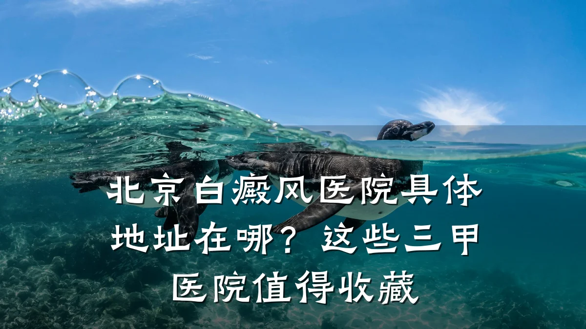 北京白癜风医院具体地址在哪?这些三甲医院值得收藏