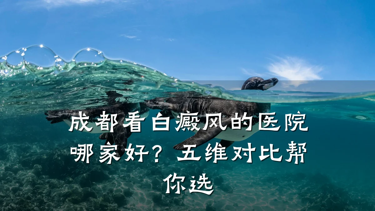 成都看白癜风的医院哪家好?五维对比帮你选