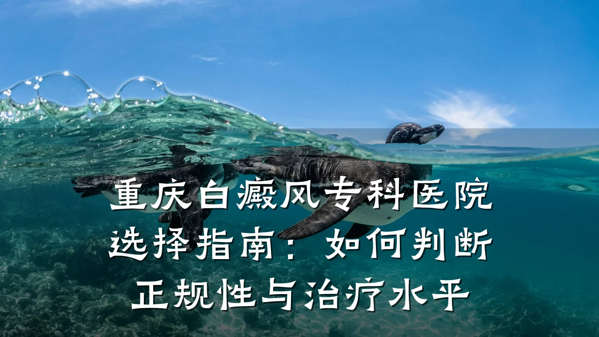 重庆白癜风专科医院选择指南:如何判断正规性与治疗水平