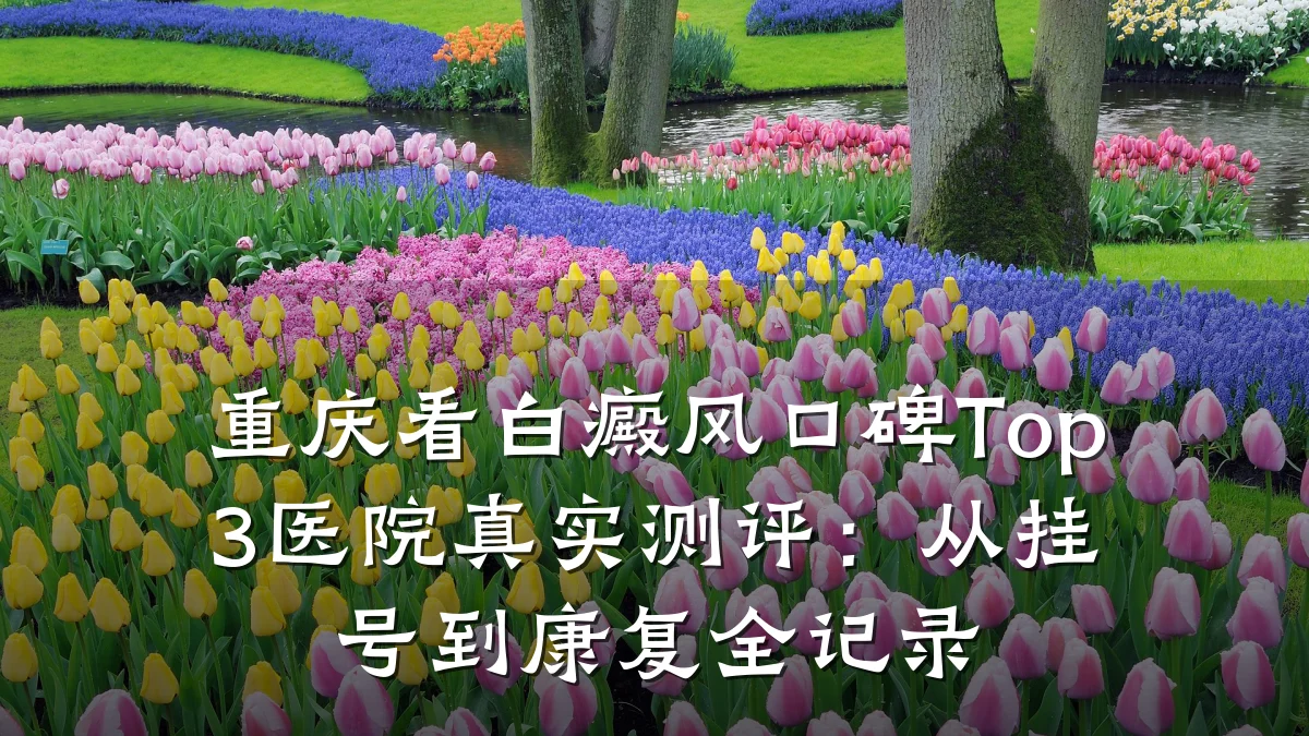 重庆看白癜风口碑Top3医院真实测评:从挂号到康复全记录