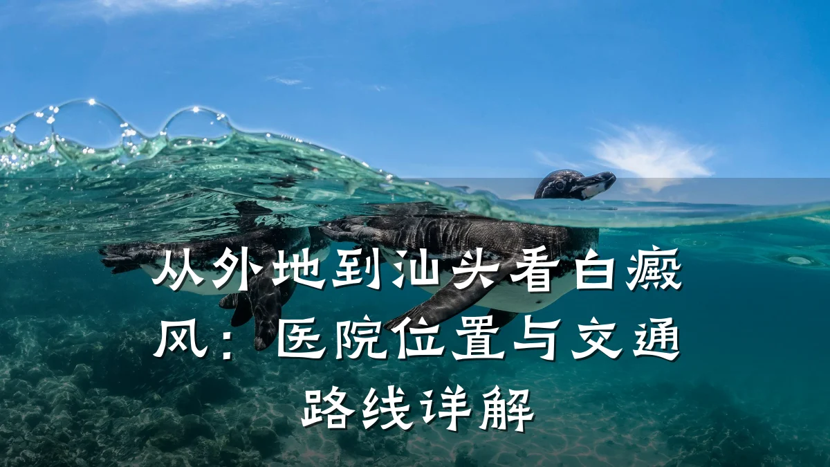 从外地到汕头看白癜风：医院位置与交通路线详解