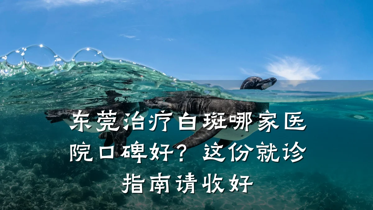 东莞治疗白斑哪家医院口碑好?这份就诊指南请收好