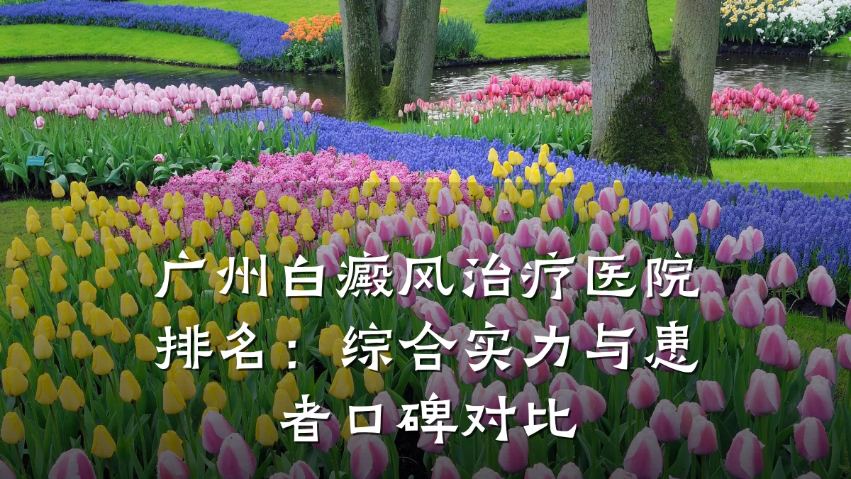 广州白癜风治疗医院排名:综合实力与患者口碑对比