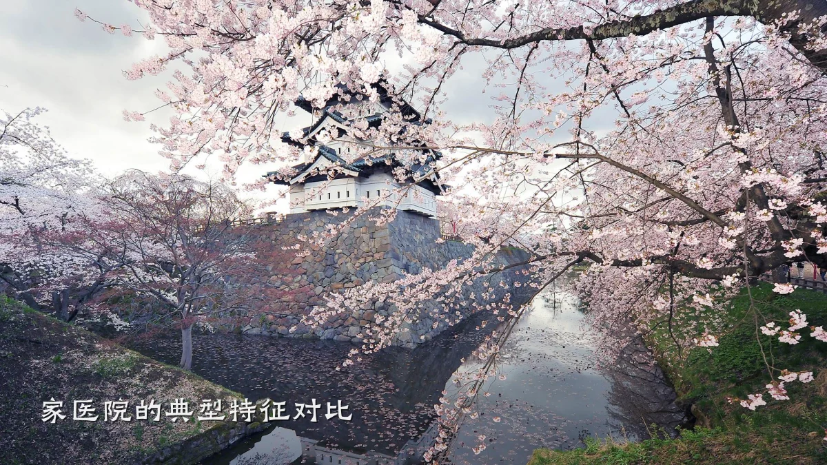 家医院的典型特征对比