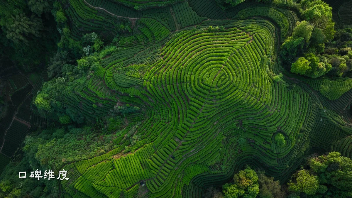 口碑维度