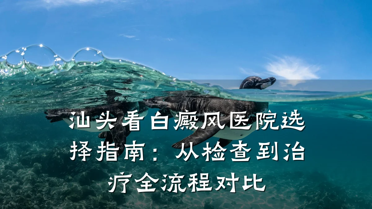 汕头看白癜风医院选择指南:从检查到治疗全流程对比
