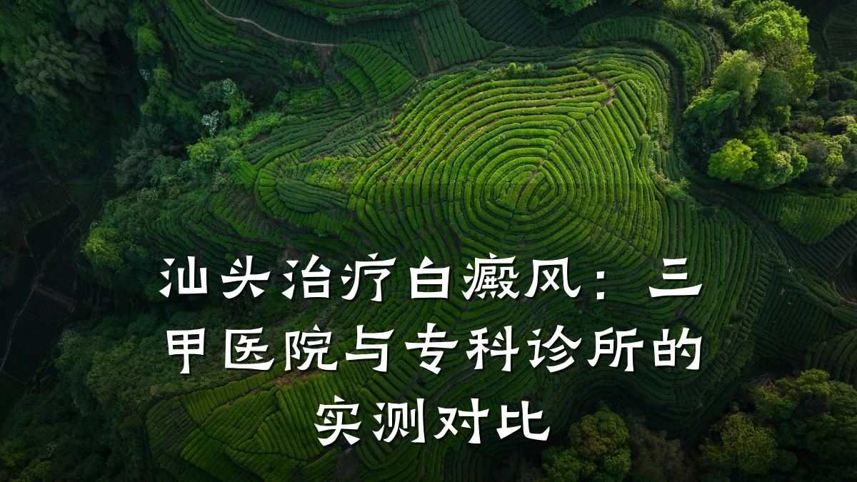 汕头治疗白癜风:三甲医院与专科诊所的实测对比