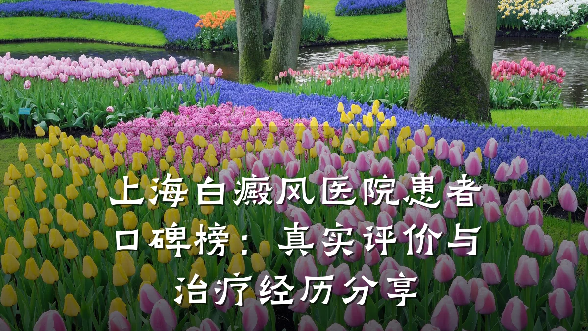 上海白癜风医院患者口碑榜：真实评价与治疗经历分享