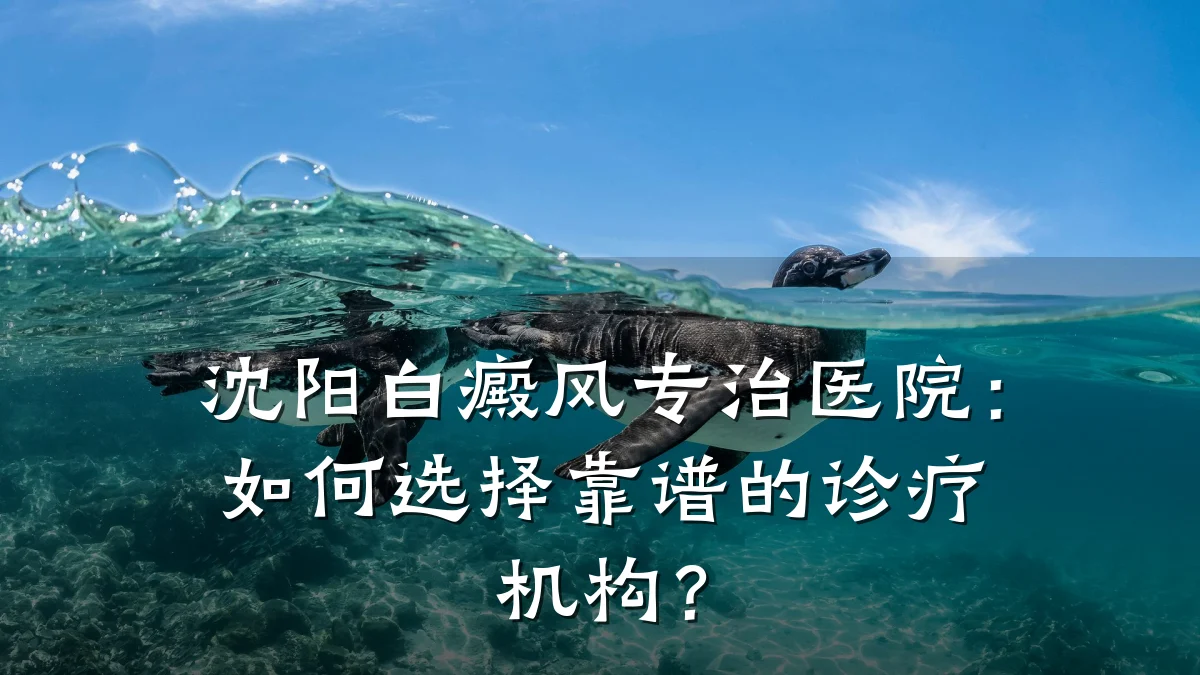 沈阳白癜风专治医院:如何选择靠谱的诊疗机构?