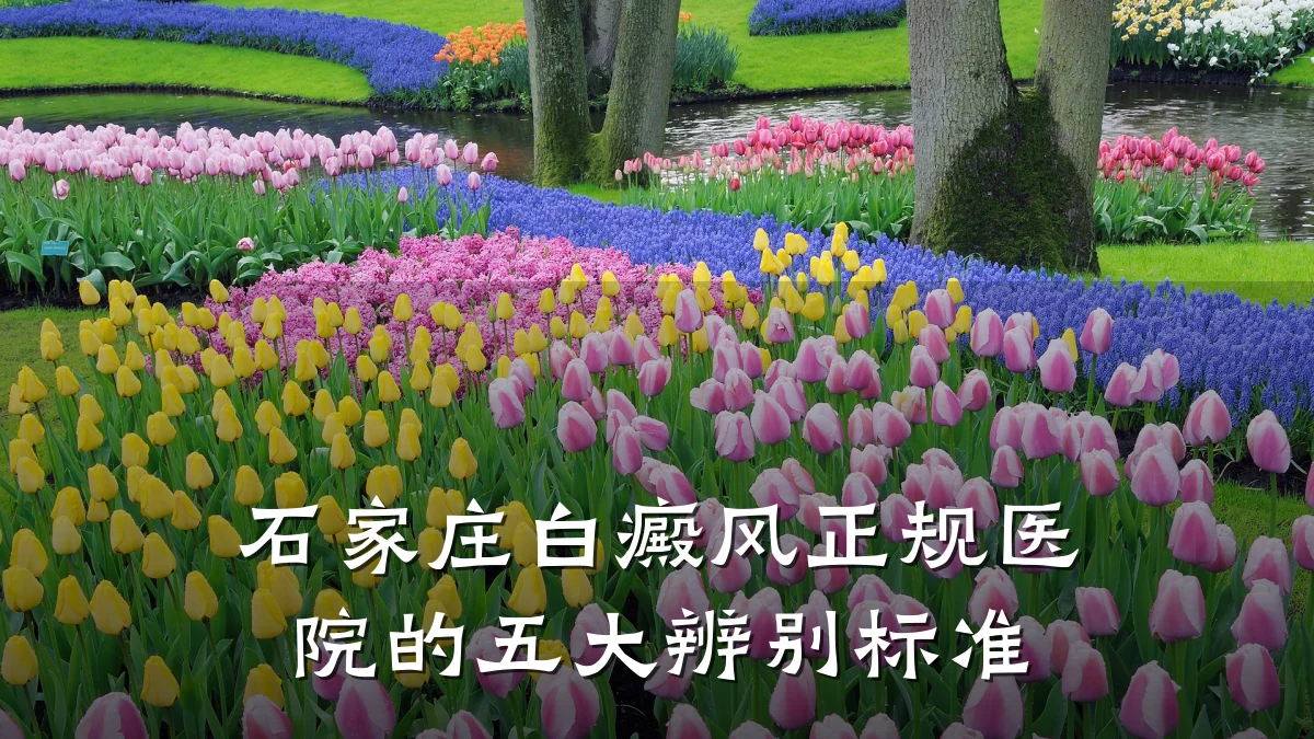 石家庄白癜风正规医院的五大辨别标准