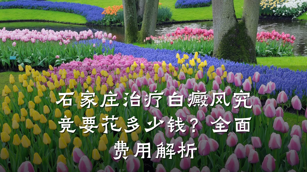 石家庄治疗白癜风究竟要花多少钱？全面费用解析