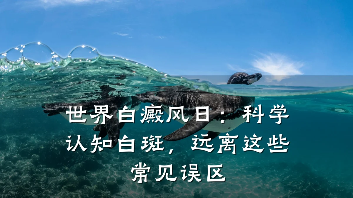 世界白癜风日:科学认知白斑,远离这些常见误区