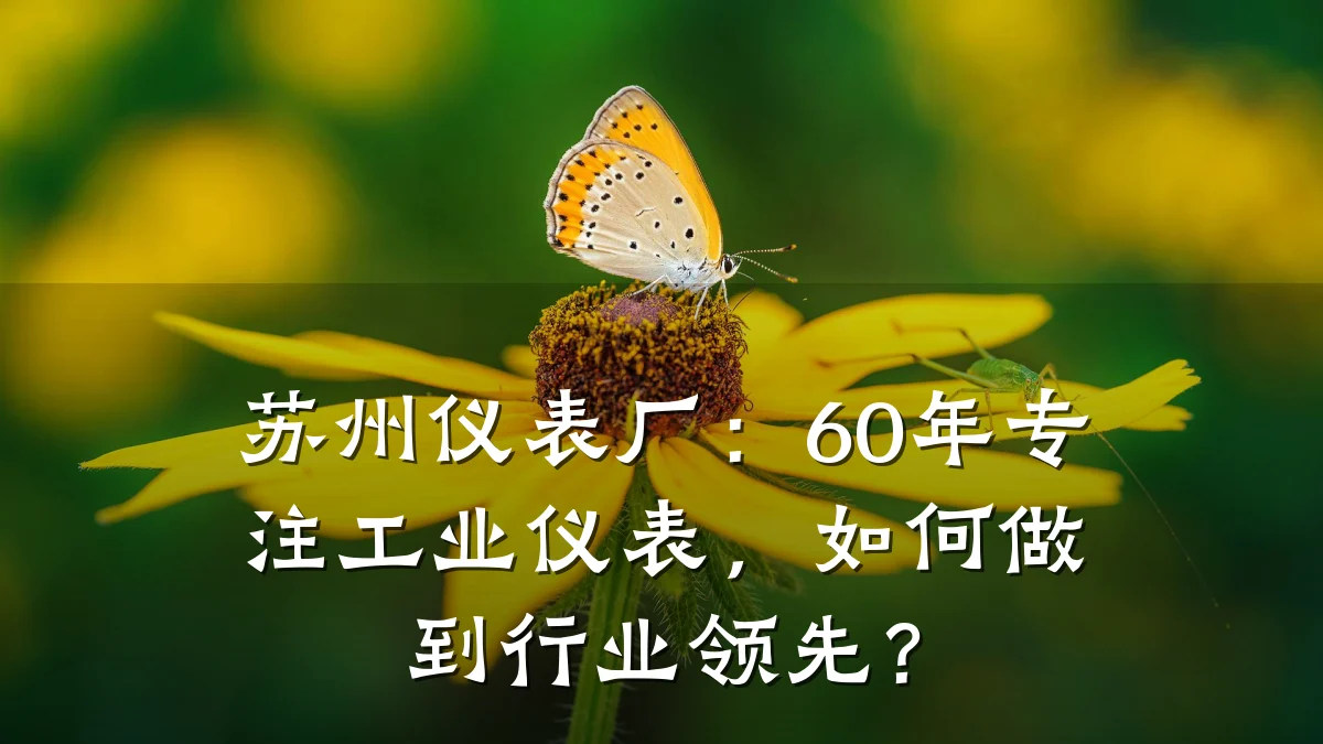 苏州仪表厂:60年专注工业仪表,如何做到行业领先?