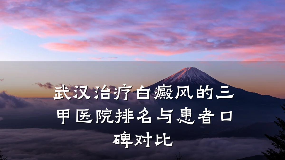 武汉治疗白癜风的三甲医院排名与患者口碑对比