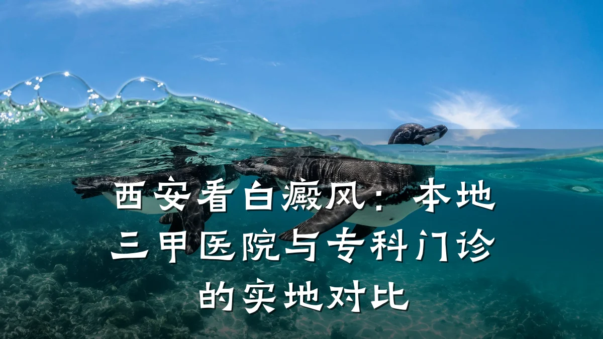 西安看白癜风:本地三甲医院与专科门诊的实地对比
